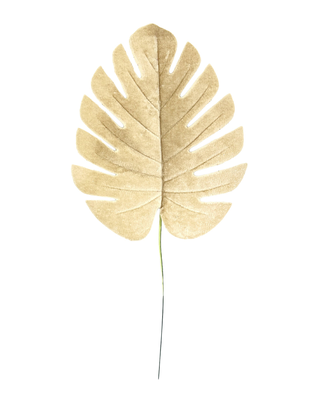 HOJA GAMUZADA (484-917) ABT23-1002