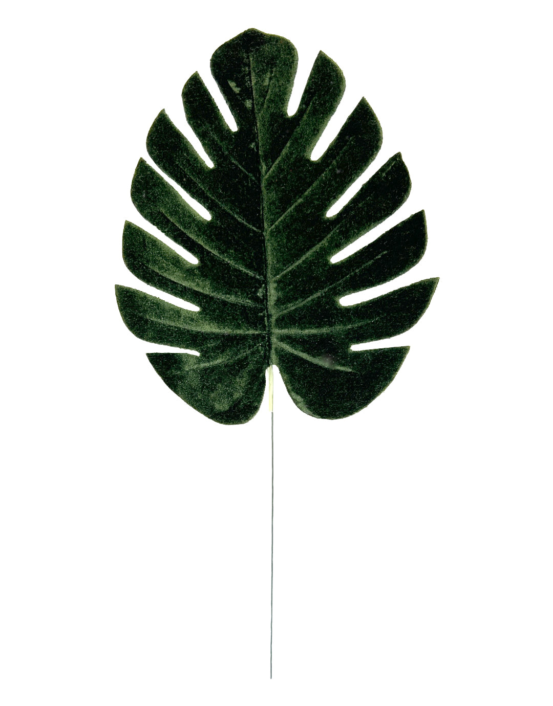 HOJA GAMUZADA (484-917) ABT23-1002