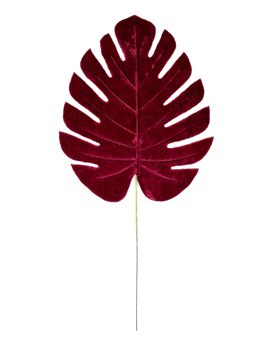 HOJA GAMUZADA (484-917) ABT23-1002