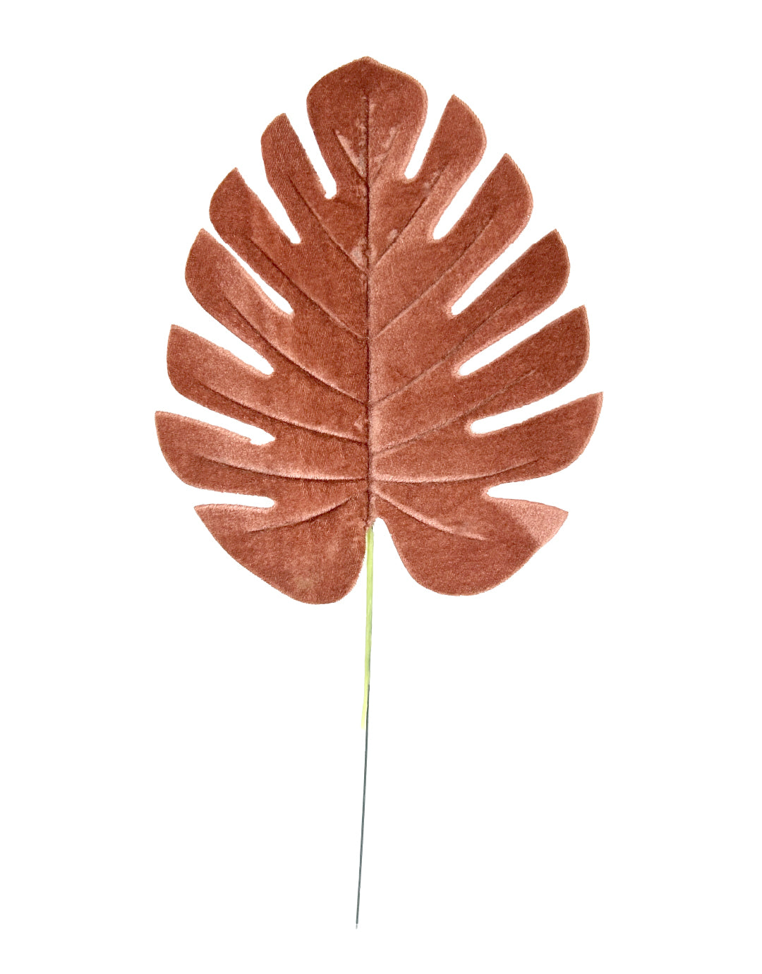 HOJA GAMUZADA (484-917) ABT23-1002