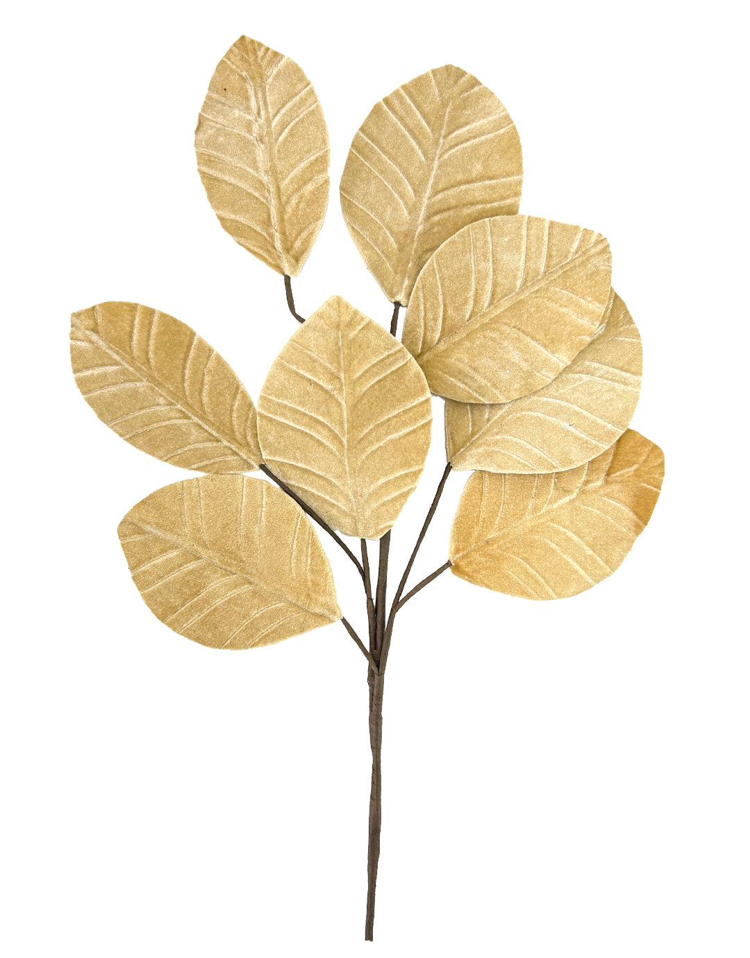 FOLLAJE HOJA GAMUZADA FS88111805