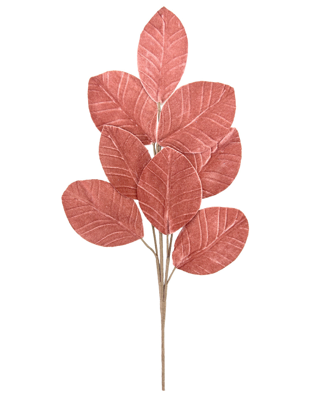 FOLLAJE HOJA GAMUZADA FS88111805