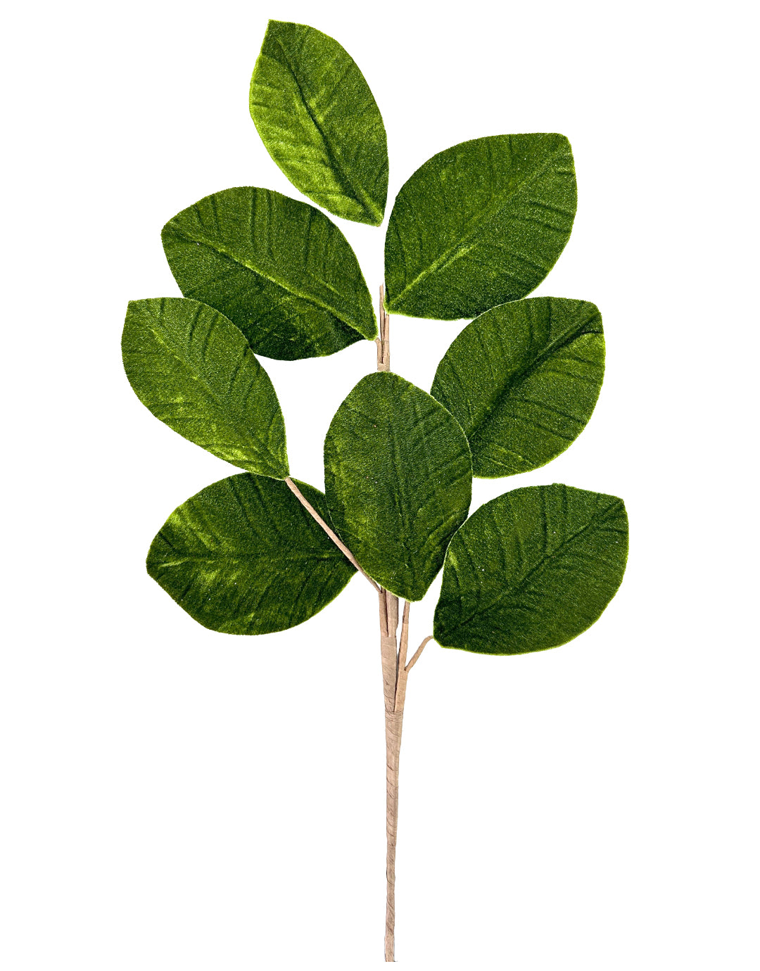 FOLLAJE HOJA GAMUZADA FS88111805