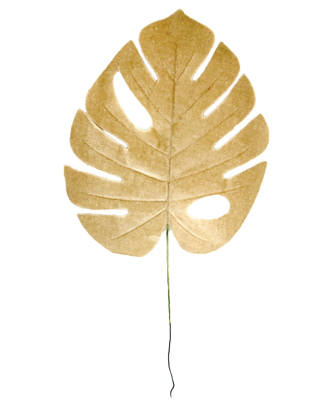 HOJA GAMUZADA (484-906) 58039