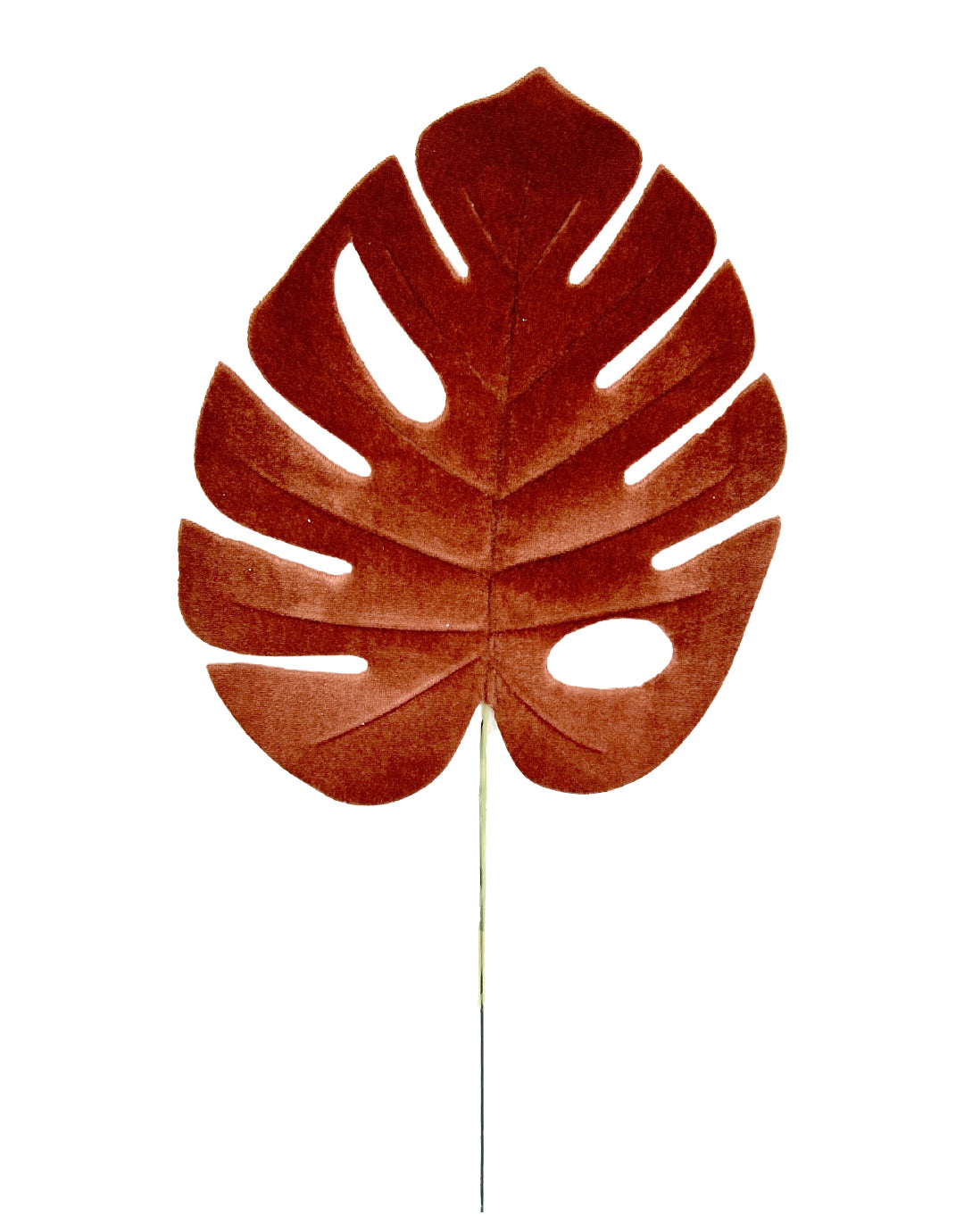 HOJA GAMUZADA (484-906) 58039