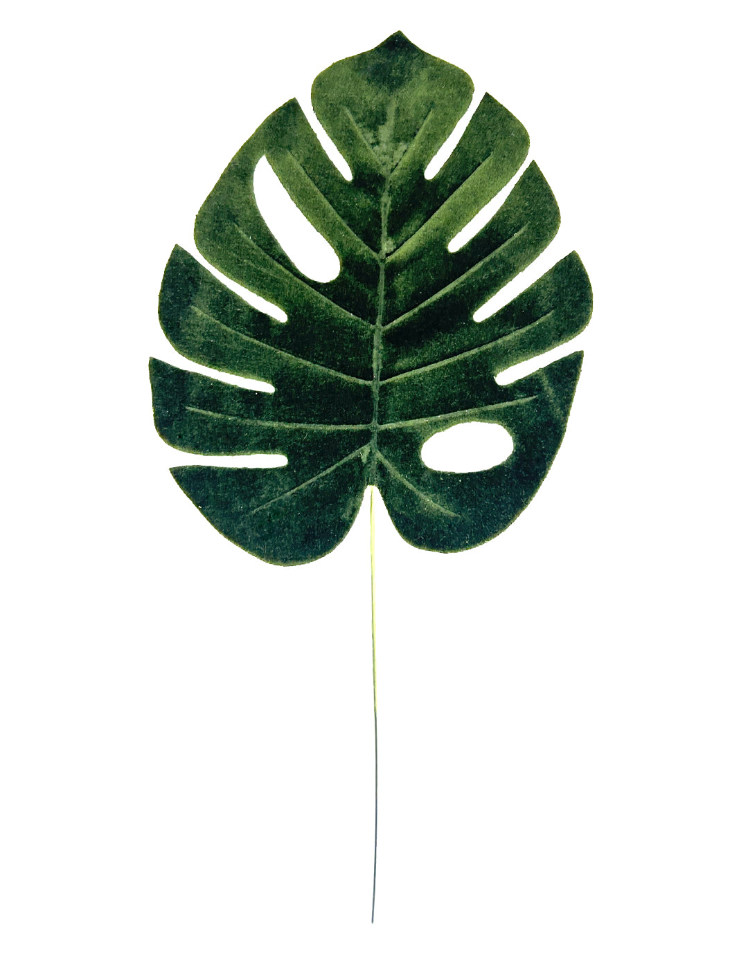 HOJA GAMUZADA (484-906) 58039