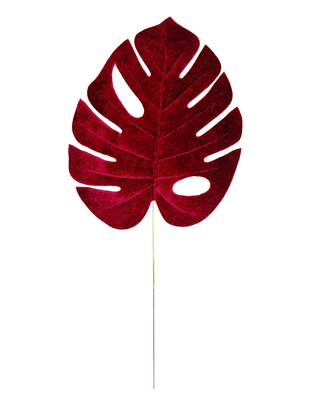 HOJA GAMUZADA (484-906) 58039