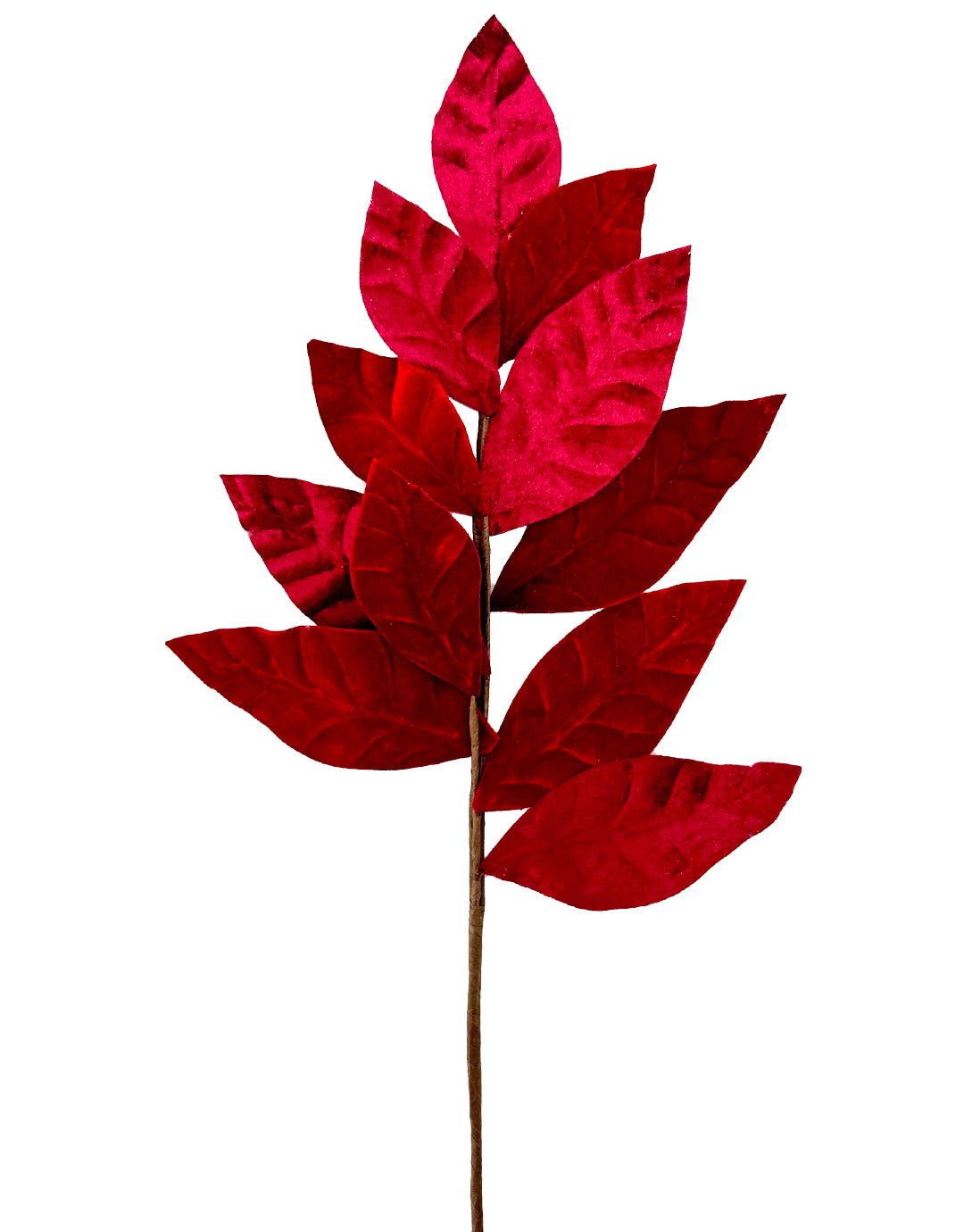 FOLLAJE HOJA GAMUZADA FS88111808