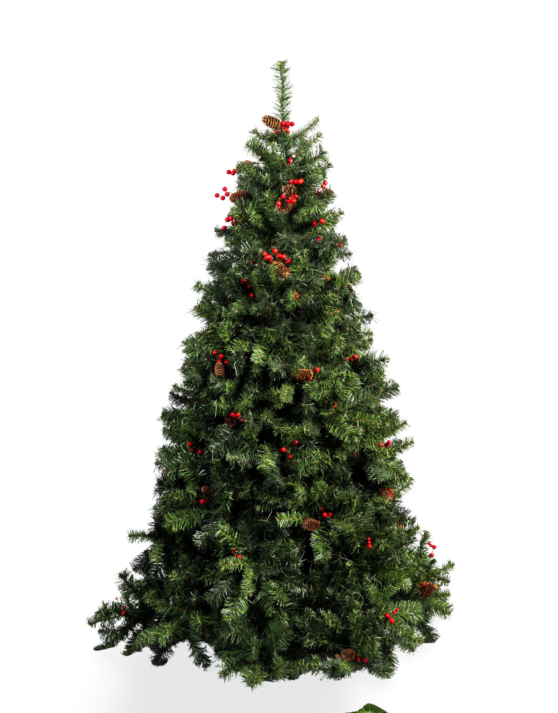 ÁRBOL ROBLE