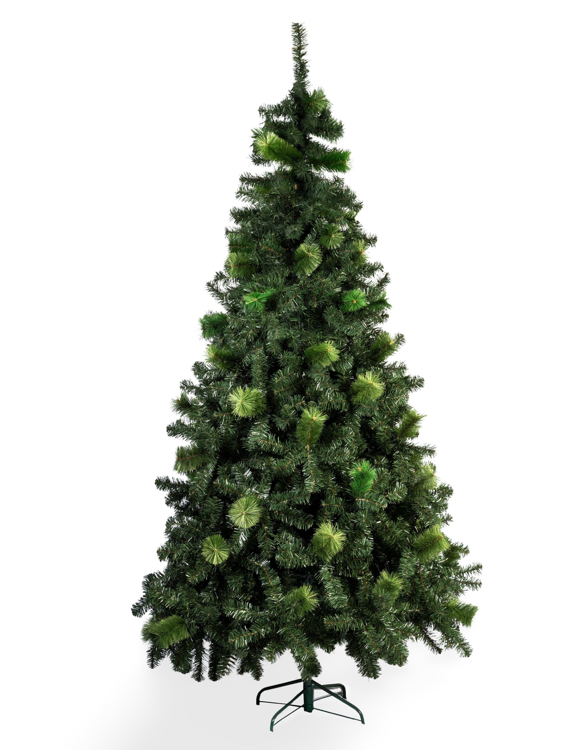 ÁRBOL BAHAMAS