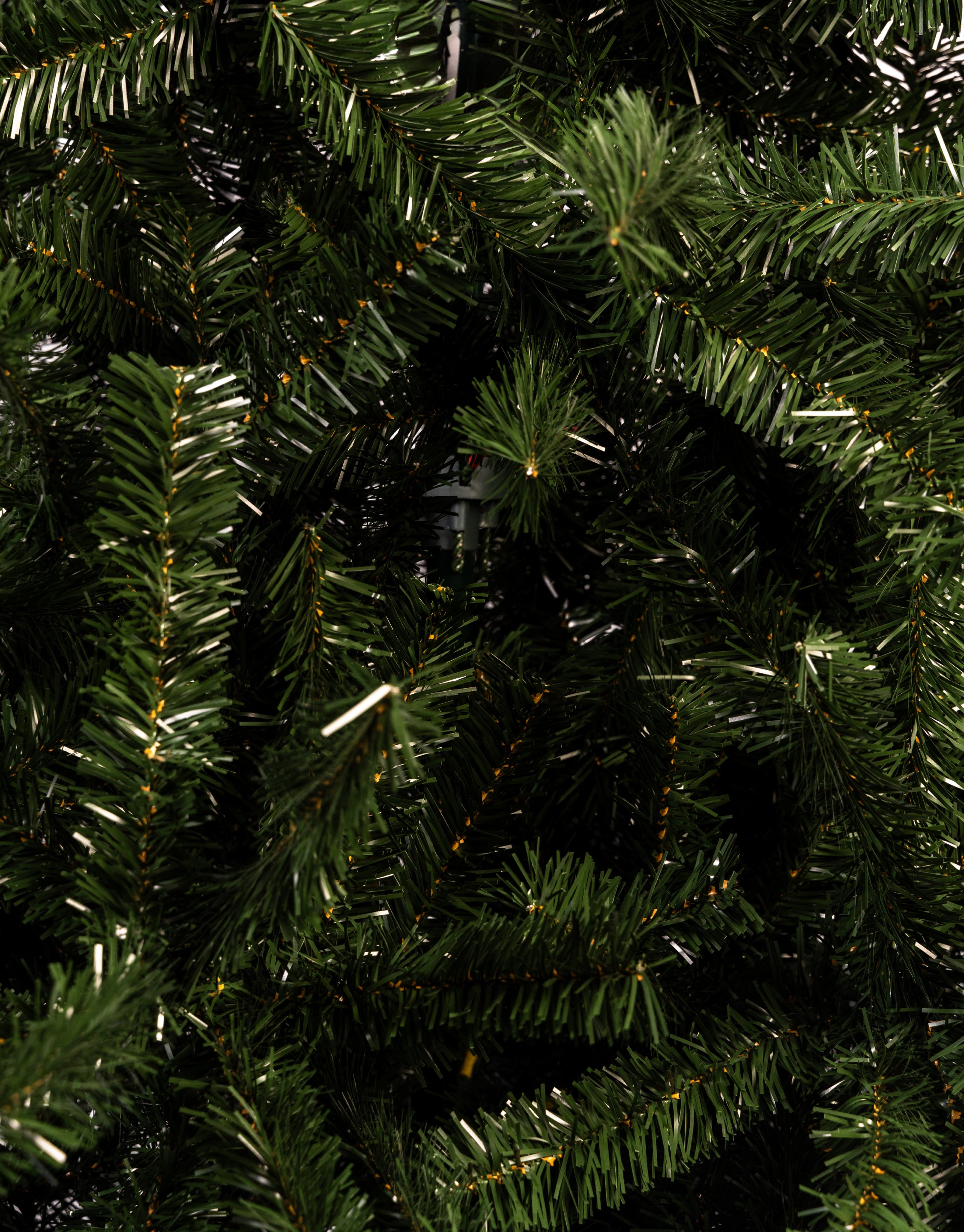 ÁRBOL DETROIT
