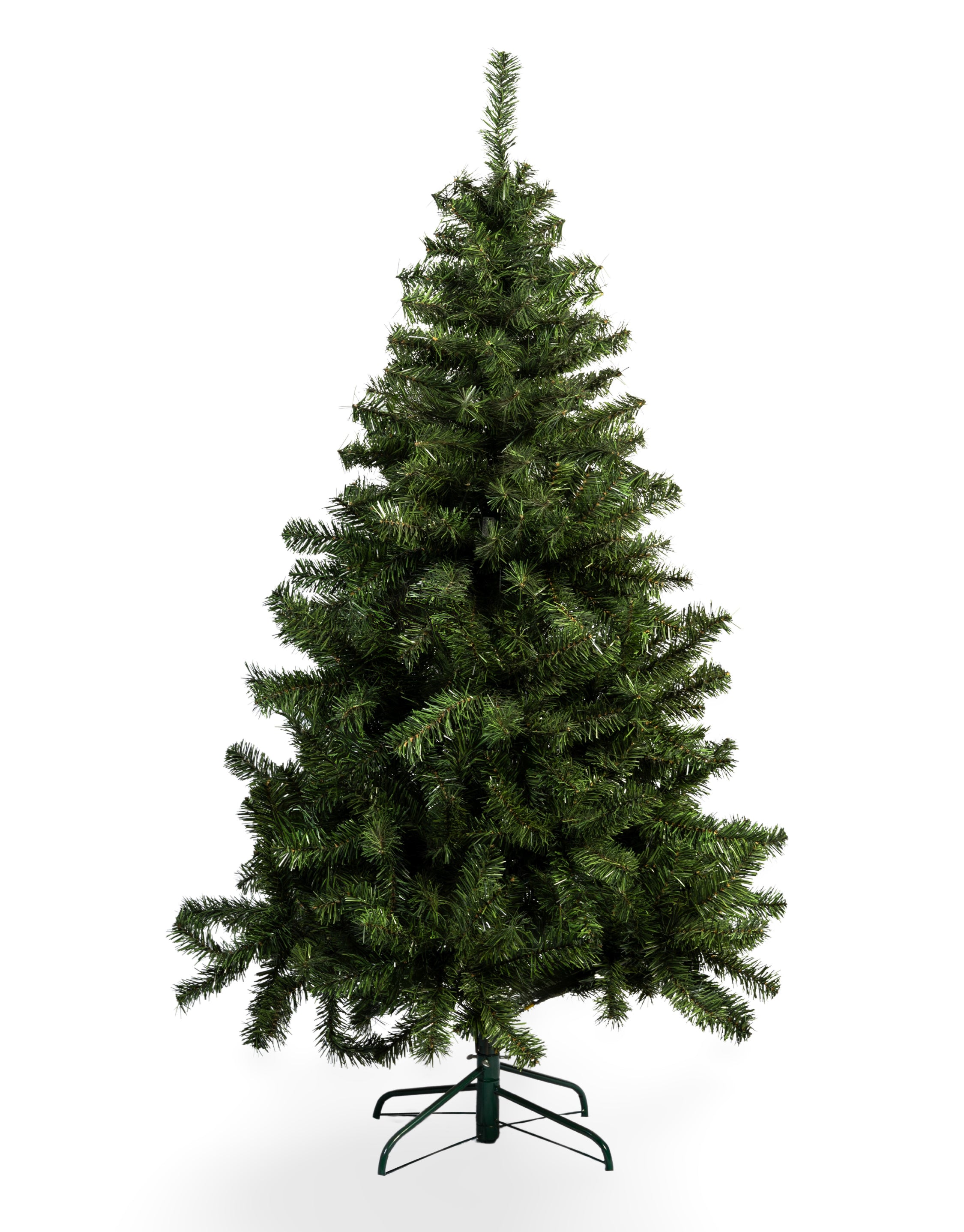 ÁRBOL PRINCIPE