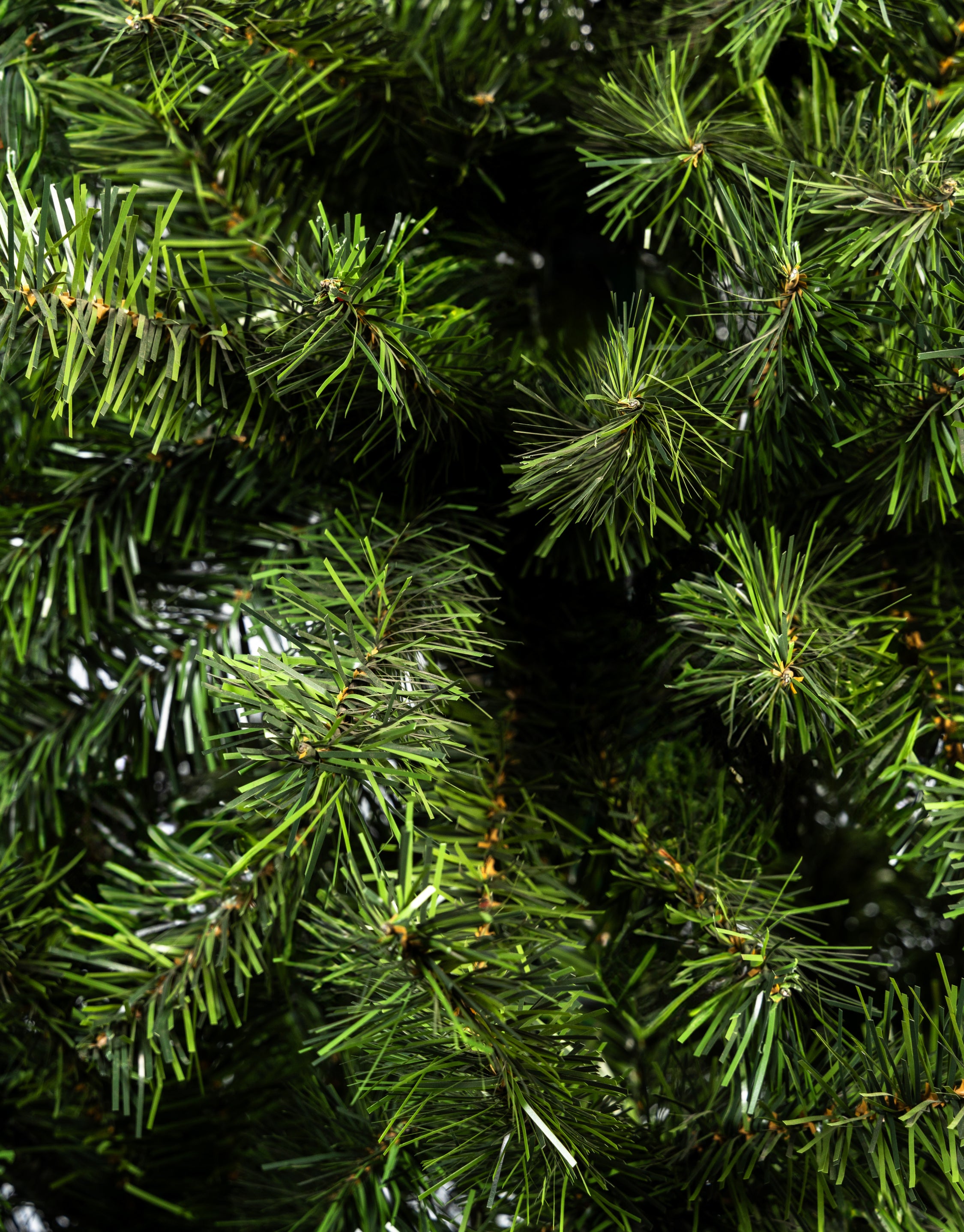 ÁRBOL PRINCIPE
