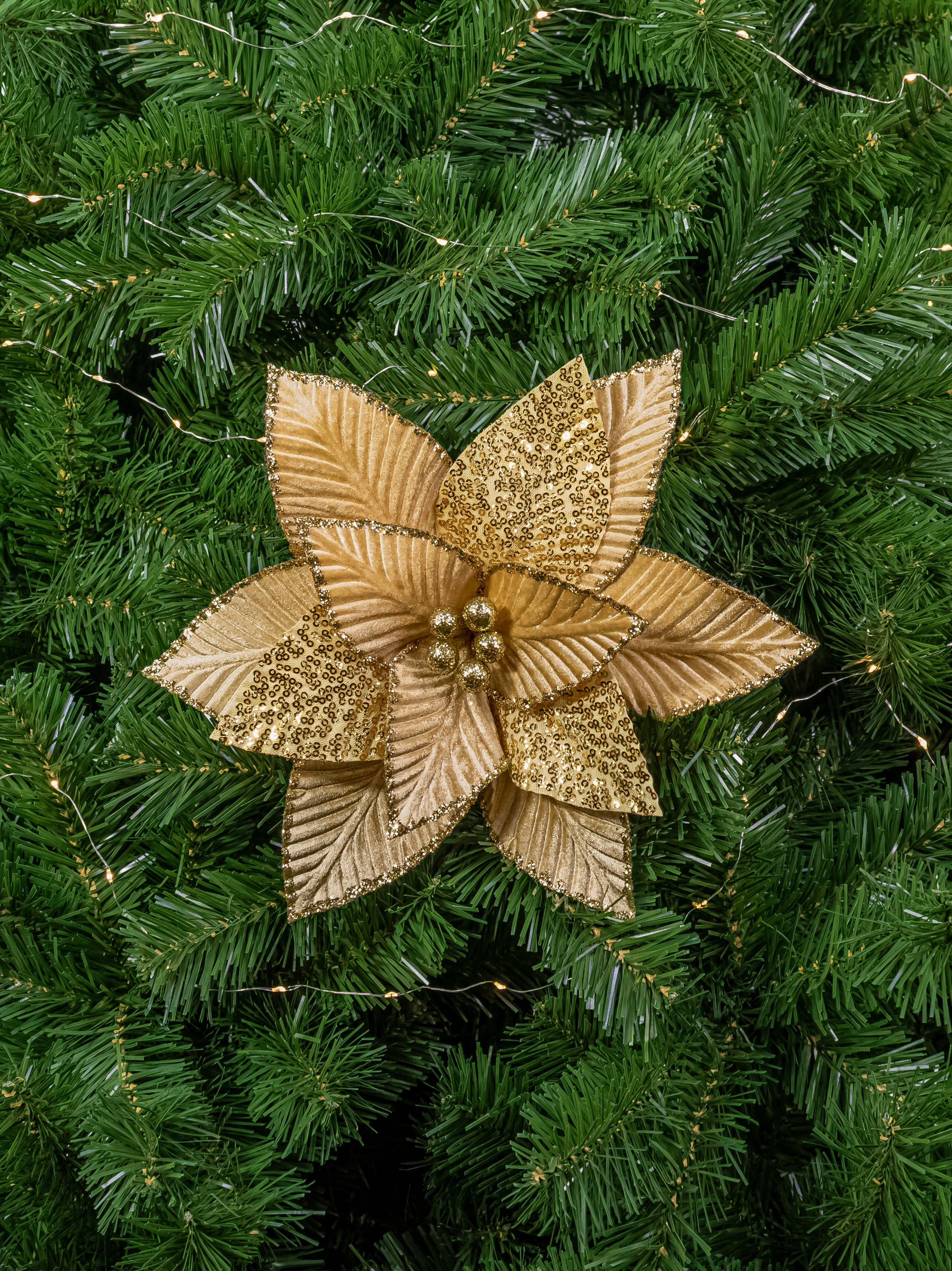 PONCETIA LENTEJUELA MQF25272