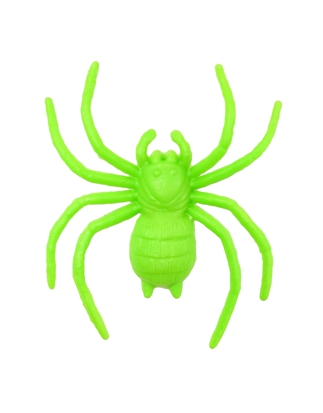 TARANTULA GRANDE NAC-T-020