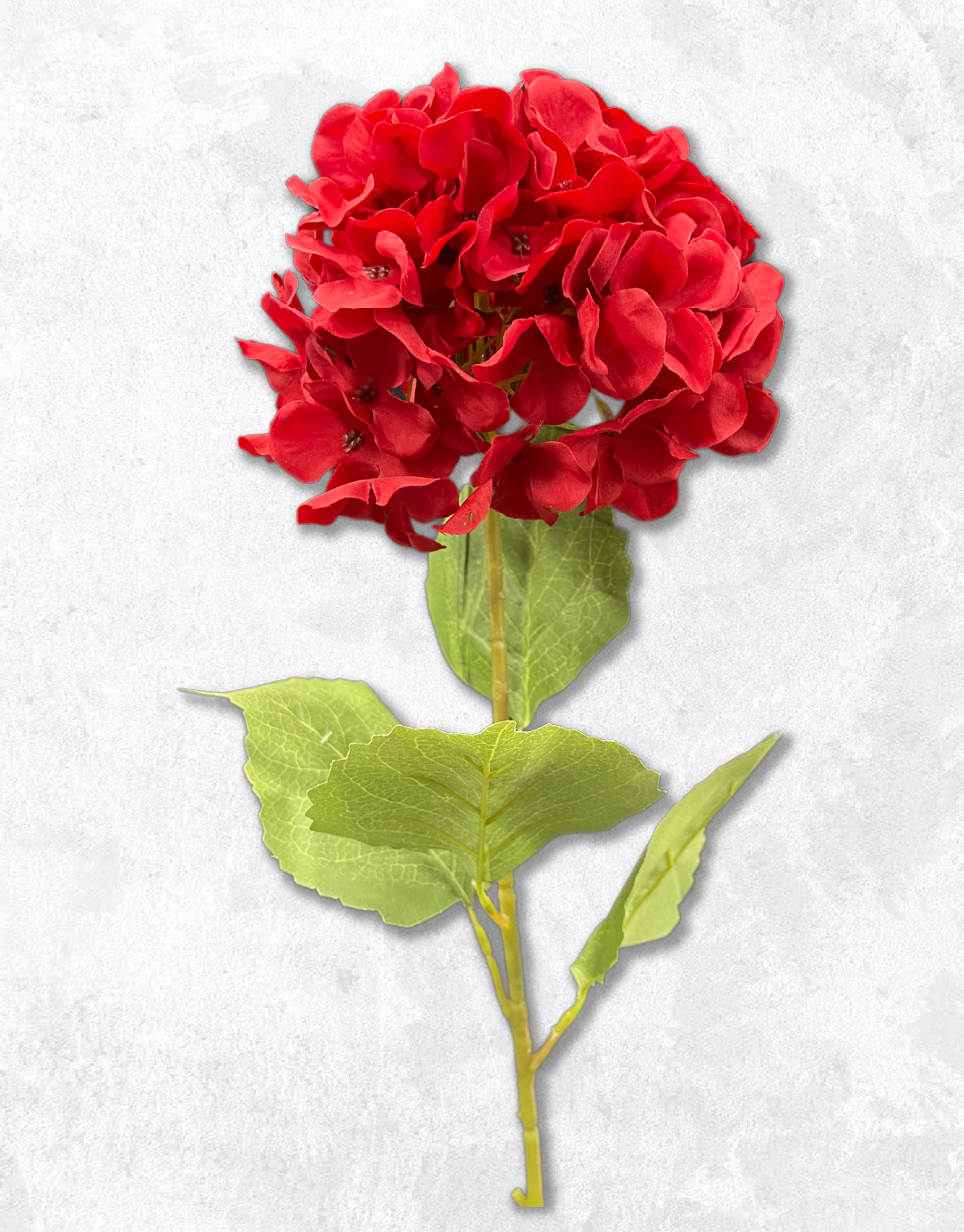 FLOR HORTENSIA