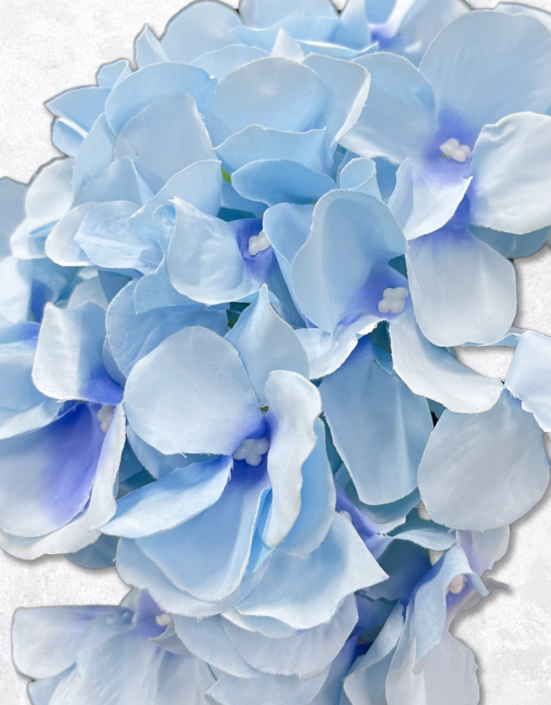 FLOR HORTENSIA
