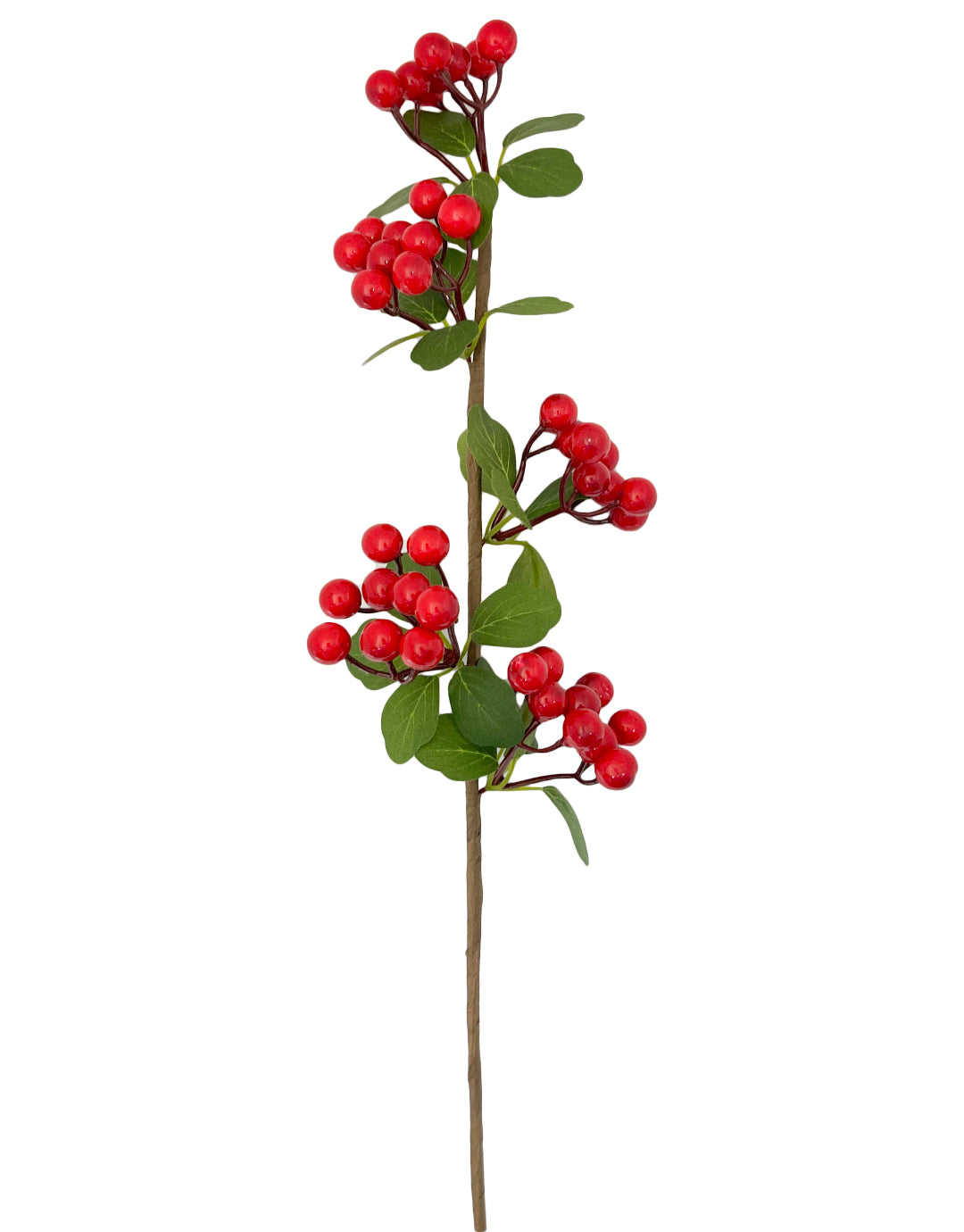 FOLLAJE FRUTOS COLORES XA251165