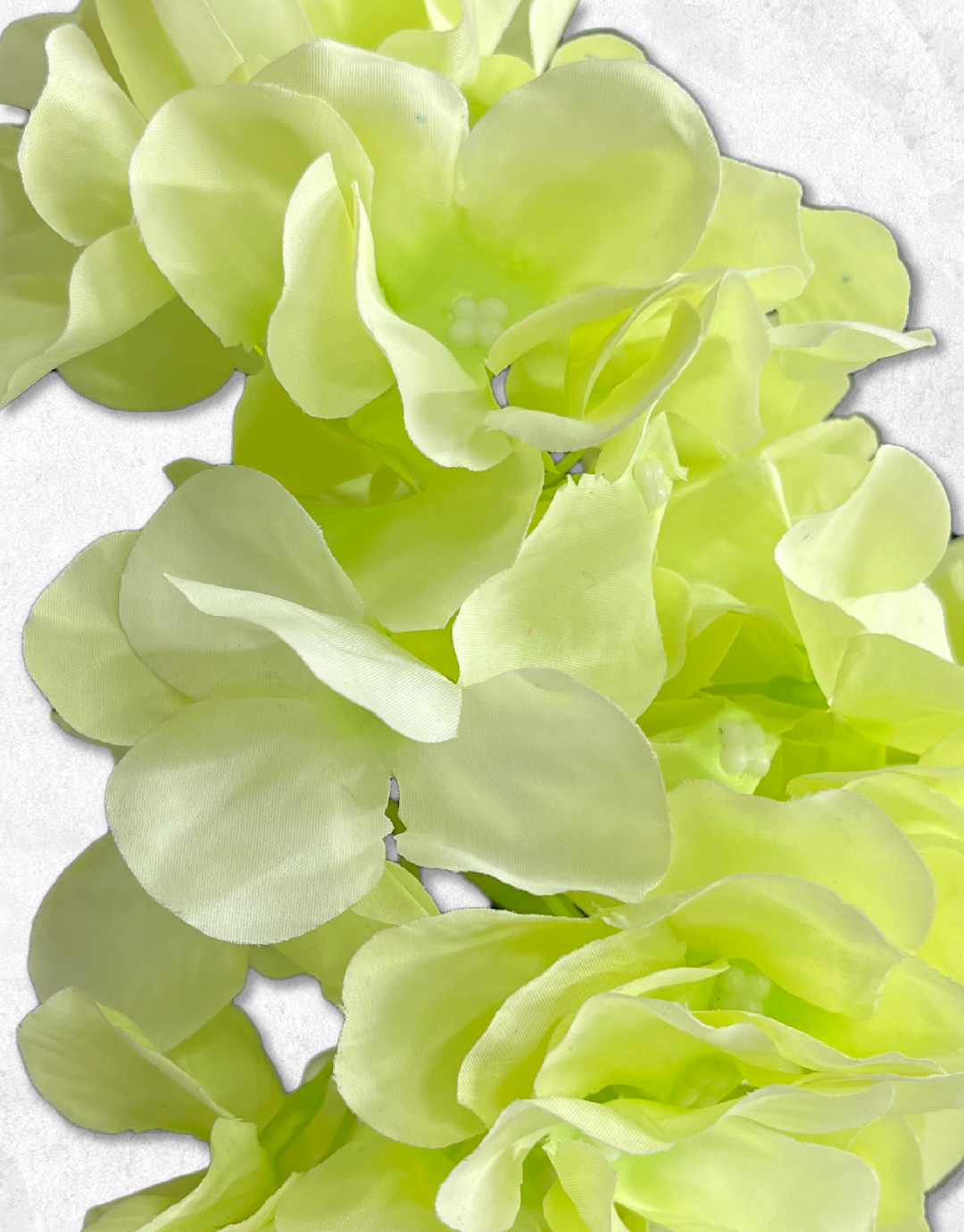 FLOR HORTENSIA