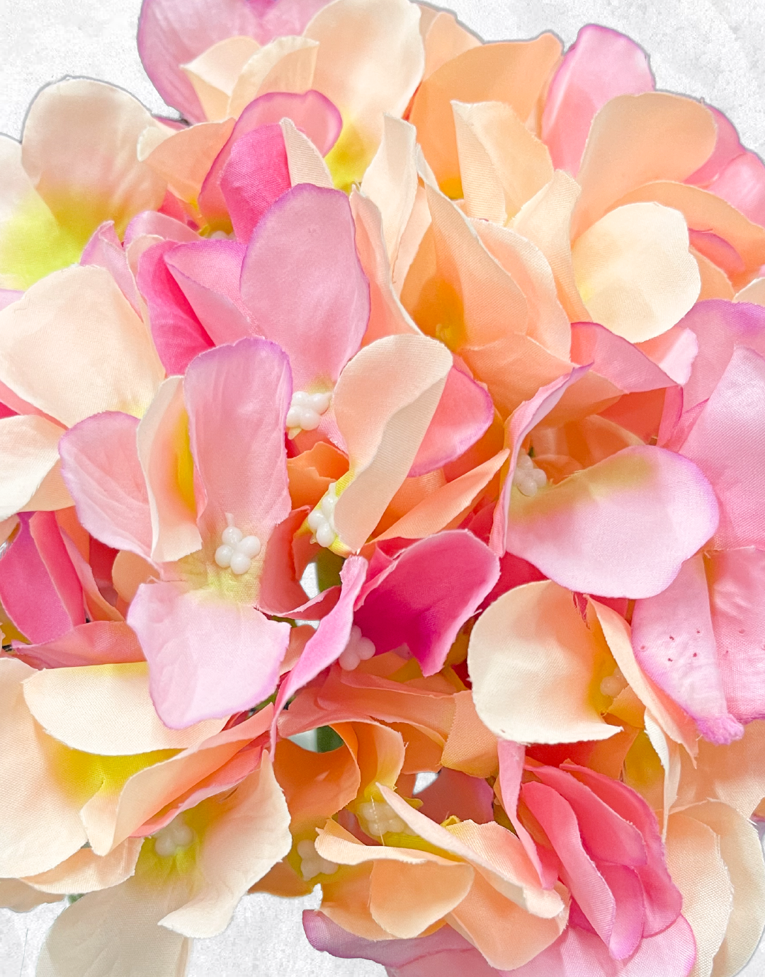 FLOR HORTENSIA