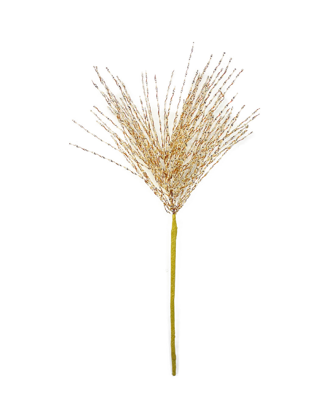 FOLLAJE ESPIRAL ERIZO MQF25101-1