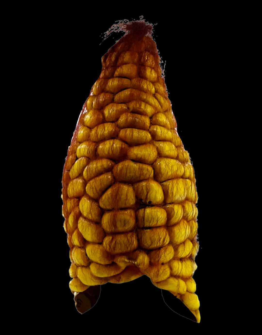 MÁSCARA EVIL CORN MEX-26340