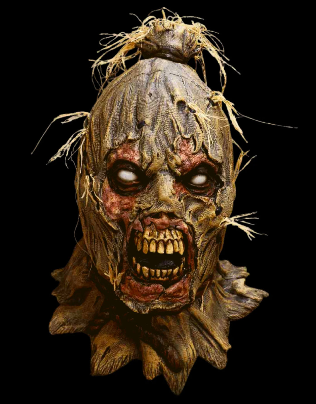 MÁSCARA ZOMBIE ESPANTAPÁJAROS MEX-26550